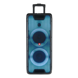 Altavoz portatil bluetooth ngs wild rave 2 -  300w